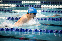 High  School swimming West Windsor South at Princeton 2014-12-9