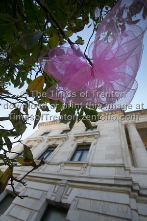 Trenton City Hall is in the Pink for National Breast Cancer Awar