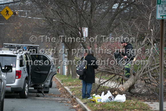 Car hits, knocks over tree in Trenton