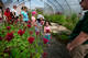 Butterfly House Tour in Pennington