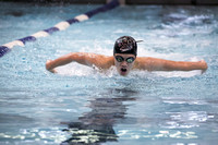 High School boys swimming Notre Dame at Princeton 2015-12-17
