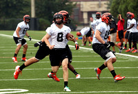 Princeton University football practice 8/28/2013