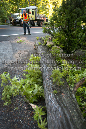 Felled tree, wires close Rt. 206 in Princeton