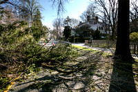 Strong winds do damage in Princeton
