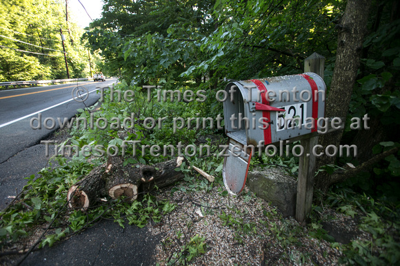 Felled tree, wires close Rt. 206 in Princeton