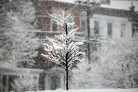 Snowfall is picturesque, not problematic