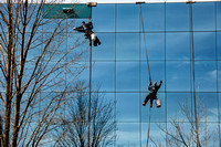 Window cleaners rappel down building