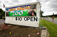 Animal Kingdom Zoo in Springfield reopens