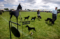 Trenton Kennel Club All-Breed Dog Show at Mercer County Park